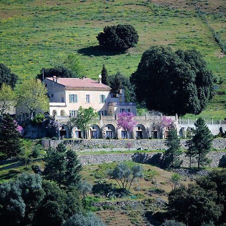 La Ventulella Bed & Breakfast Moltifao Exterior foto