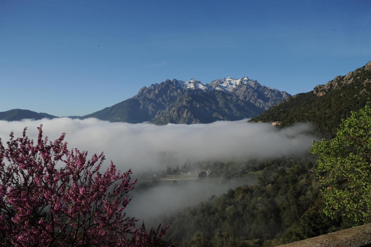 La Ventulella Bed & Breakfast Moltifao Exterior foto