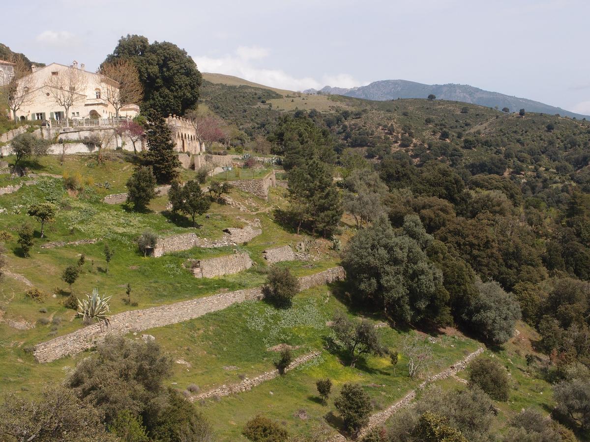 La Ventulella Bed & Breakfast Moltifao Exterior foto