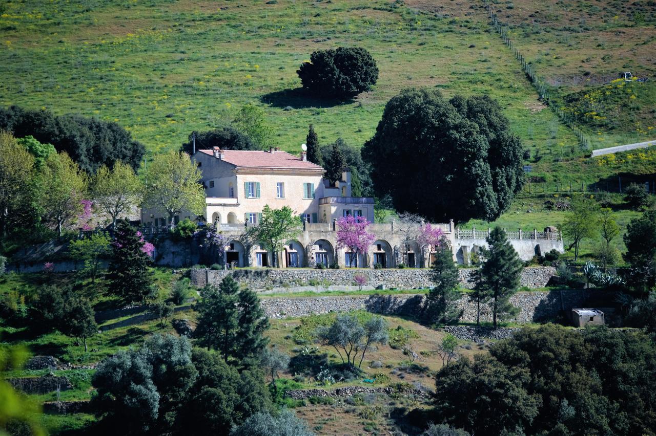 La Ventulella Bed & Breakfast Moltifao Exterior foto